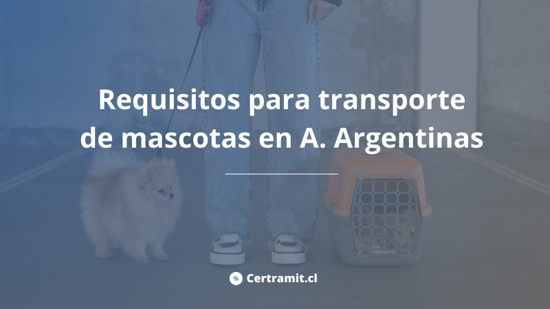 requisitos transporte mascotas aerolineas argentinas
