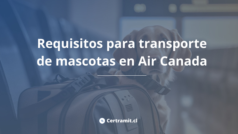 requisitos transporte mascotas air canada
