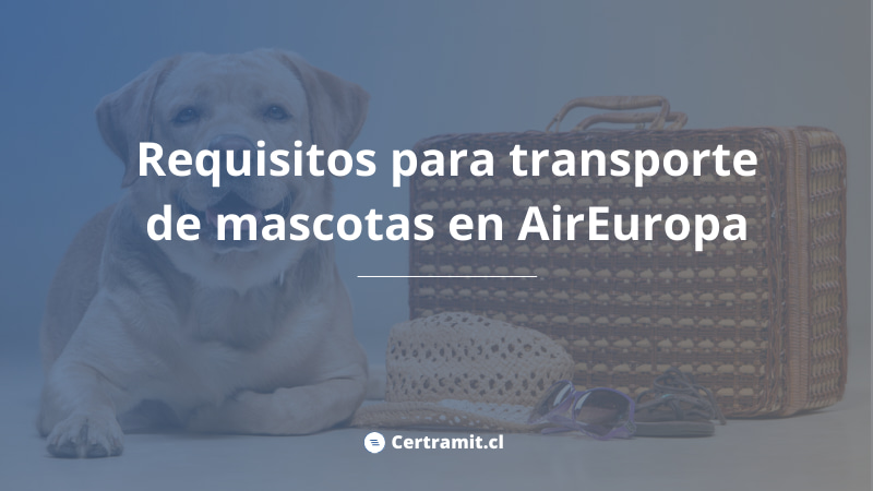 requisitos transporte mascotas aireuropa