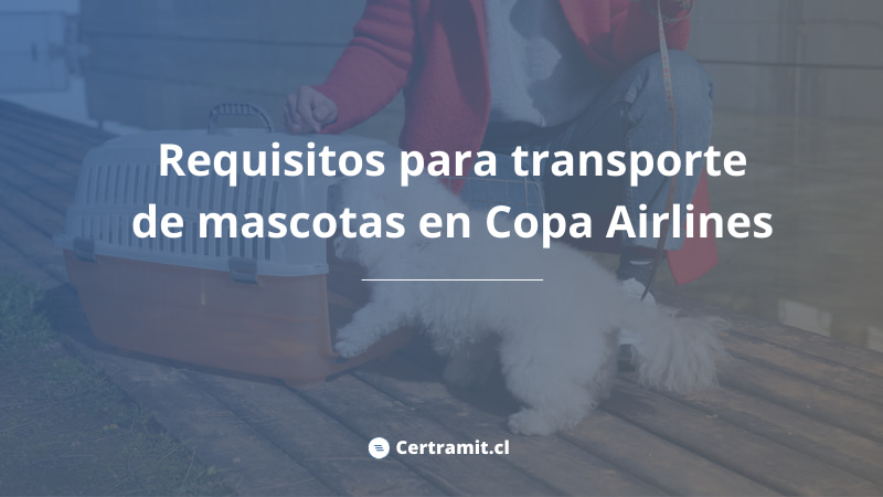requisitos transporte mascotas copa airlines