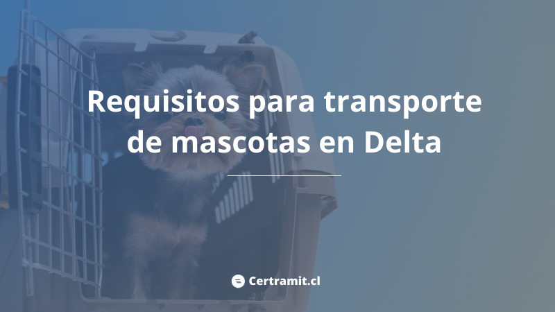 requisitos transporte mascotas delta